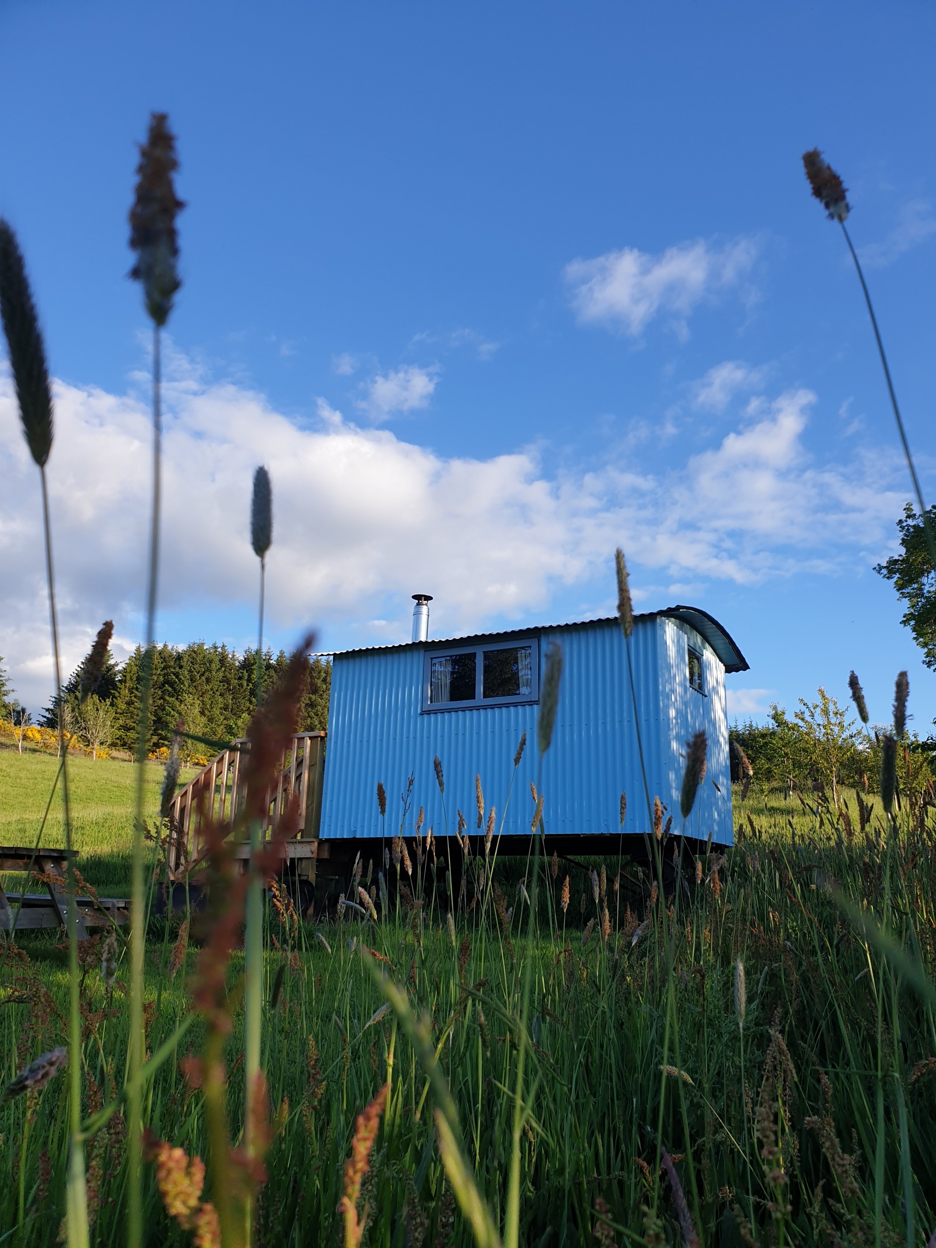 Blackberry Hut